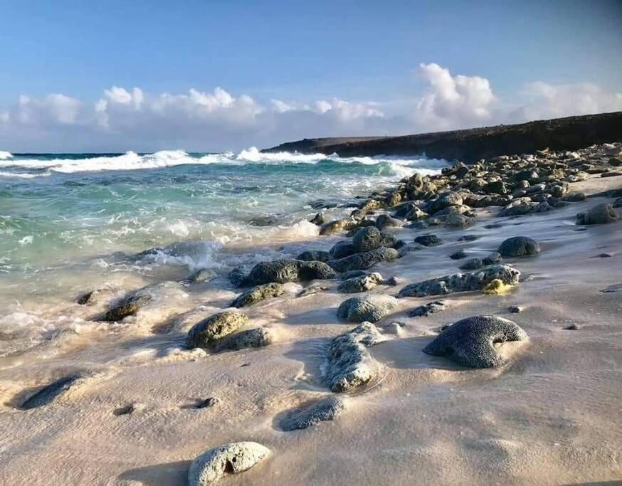 Aruba Condo The Pearl - At Eagle Beach - Minute Walk! Παλμ Μπιτς Εξωτερικό φωτογραφία